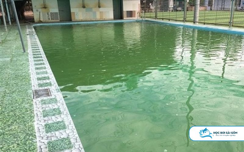 Chủ bể bơi thường xuyên gặp những vấn đề đau đầu với hồ bơi của mình