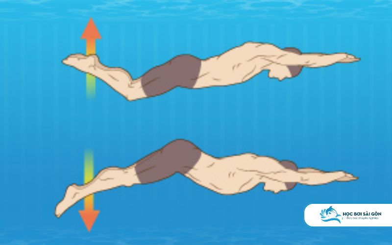 Dolphin Kick