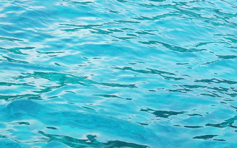 Nhậu Sỉn Có Đi Bơi Được Không