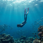 Khóa học lặn tự do Freediving chuyên nghiệp cho người mới bắt đầu