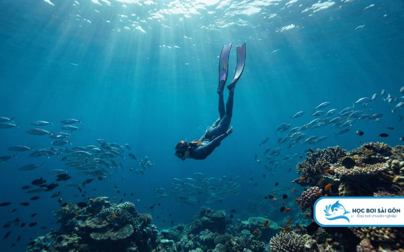 Khóa học lặn tự do Freediving chuyên nghiệp cho người mới bắt đầu