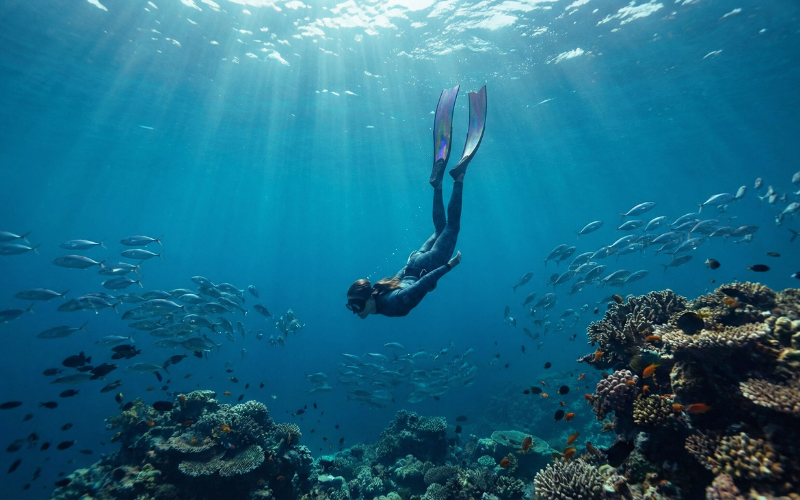 Khóa học lặn tự do Freediving chuyên nghiệp cho người mới bắt đầu